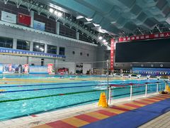 -陕西省游泳跳水馆