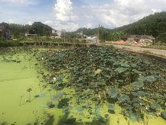 -苏家围·东江画廊旅游景区