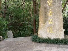 -南岳衡山风景名胜区