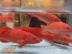 -阿伟海鲜楼·福建菜(延寿店)