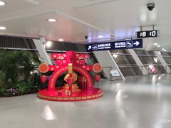 -合肥新桥国际机场-航站楼