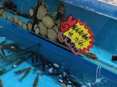 -港畔赶海蒸汽海鲜烧烤自助(仙螺岛店)