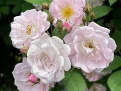 -玄武湖景区-情侣园游乐场