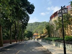 -南宁良凤江国家森林公园