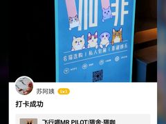 -飞行喵MR PILOT|猫舍·猫咖(静安大融城店)