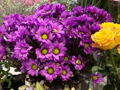 -花邻FloweringLife花艺气球派对(武康大楼店)