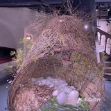 三月观展｜人间有味是清欢-迎春艺术沙龙周