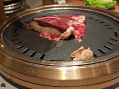 -杨小佳·齐齐哈尔烤肉·烤串(广州店)
