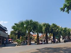 -西双版纳傣族园-曼春满佛寺