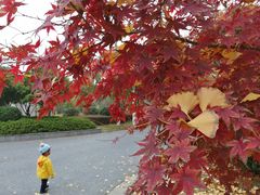 -江南大学(蠡湖校区)