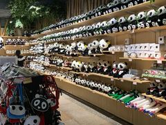 -海南热带野生动植物园
