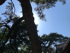 -阳台山自然风景区