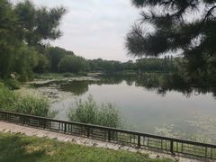 -北坞公园