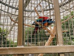 -南宫五洲植物乐园