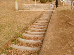 -永定河休闲森林公园