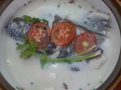 -全乐鱼馆·淳牌有机鱼直营店