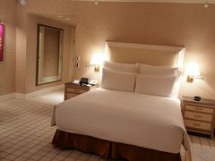 -拉斯维加斯永利酒店