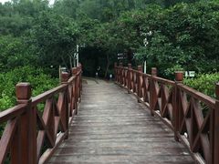 -大亚湾红树林城市湿地公园