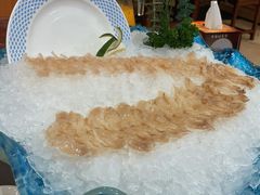 象拔蚌刺身-渔民新村(番禺总店)