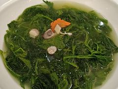 上汤浸桑叶-东江渔村·古典园林·30年粤菜老字号(太和店)