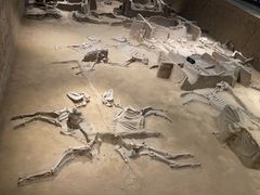 -洛阳周王城天子驾六博物馆