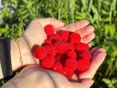 -溪口-滕头旅游景区