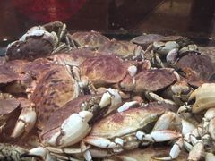 -乾隆美食·本帮菜(黄河路店)