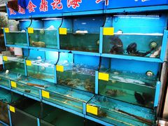 -食鼎记海鲜大排档(美食街店)