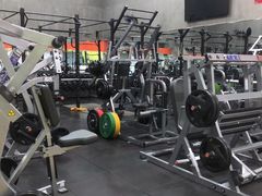 -健身专家Wellness Experts