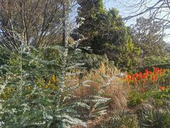 -墨尔本皇家植物园