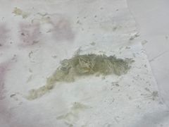 -郑远元专业修脚房(莲安东路店)