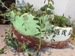 -崂山水果园农家宴(泉水鸡店)