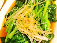 -陈麻婆豆腐(春熙店)