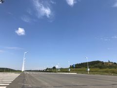-莲花山花海