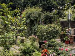 -谷咖啡·鲜花绿植花园餐厅