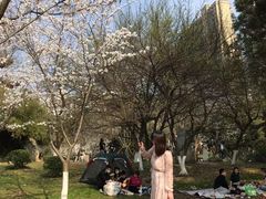 -堤角公园
