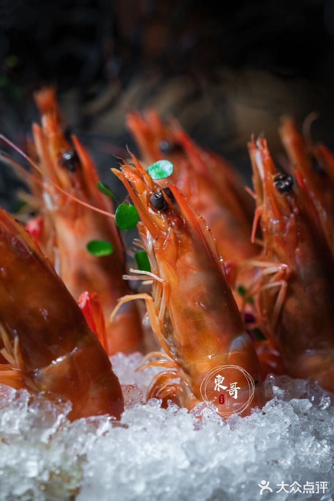 精致摩登上海菜