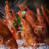 精致摩登上海菜