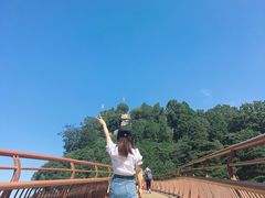 -少华山国家森林公园