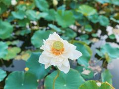 -黄兴公园