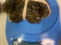 -阳澄湖大闸蟹·琼灵阁牌品牌连锁(吴中总店)