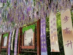 -芜湖方特东方神画