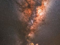 鲜肉笋丁烧卖-白玉兰传统小吃