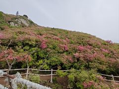 -木兰云雾山
