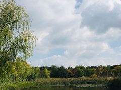 -长广溪湿地公园