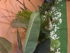 -泰澜·泰式古法按摩SPA(华泰广场店)