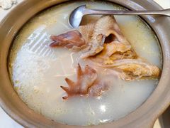 炭煨龙须竹笋煲土鸡-听香·678茶铺(猛追湾店)