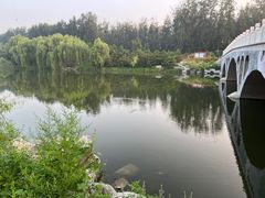 -马家湾湿地公园