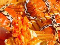 -喜洋洋蟹庄(阳澄湖店)