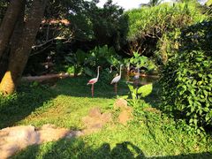 -海南热带野生动植物园